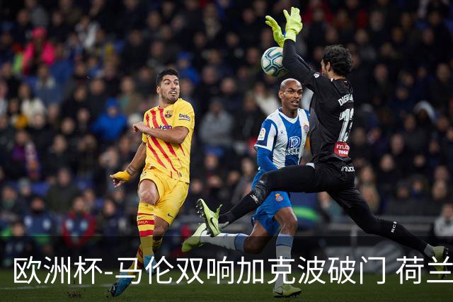 欧洲杯-马伦双响加克波破门 荷兰3-0罗马尼亚