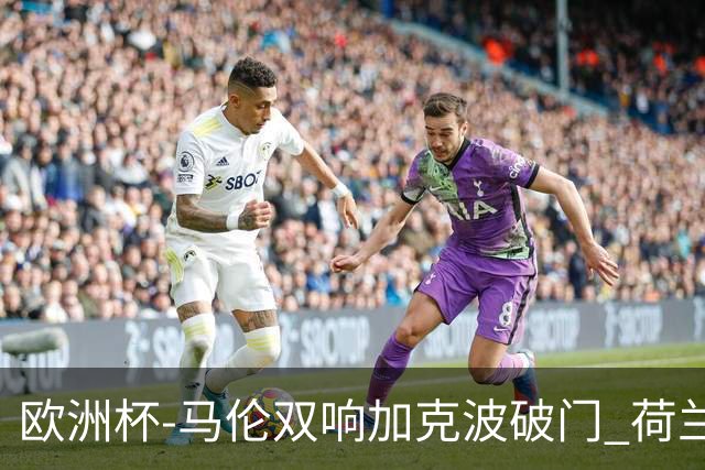 欧洲杯-马伦双响加克波破门 荷兰3-0罗马尼亚